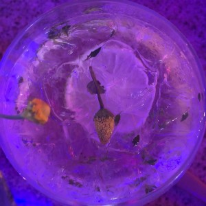 electricate con flor electrica . amazing drink