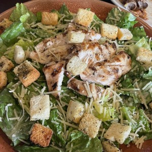 Chicken Cesar Salad
