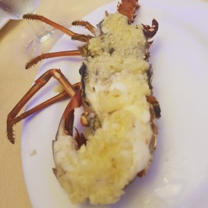 Langosta