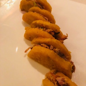 COCHINITA PIBIL en tortilla panamen?a