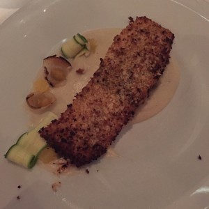 salmon