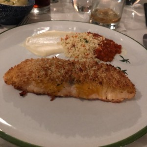 Salmon