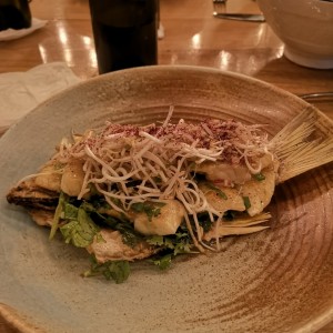 Pesca Chombasia