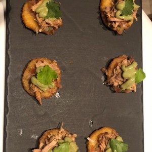 cochinita pibil /tortilliaa de maiz
