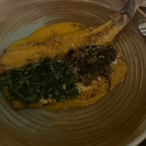 Pesca pedro navaja