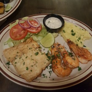 Corvina