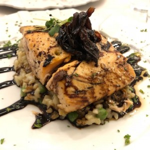 Salmon