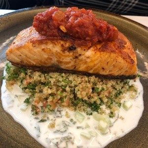 salmon