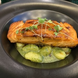 Salmon