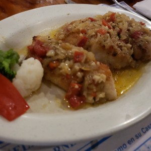 corvina Jimmy