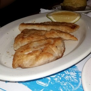 corvina Jimmy
