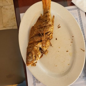pargo frito