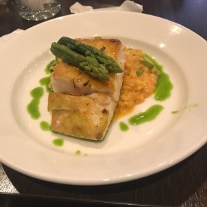 corvina pasion
