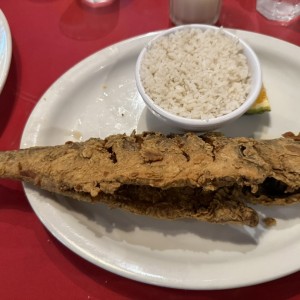 Corvina frita