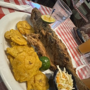 PRINCIPAL - Pescado Apanado