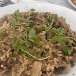 Risotto - Funghi