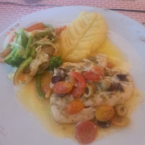 corvina mediterranea
