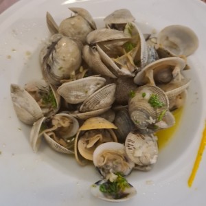 Almejas