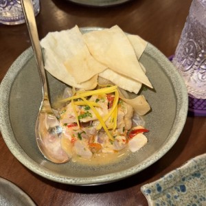 Ceviche criollo panameño