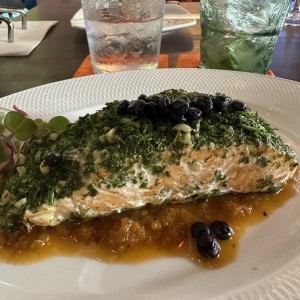 Salmon