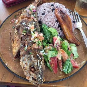 menu del dia