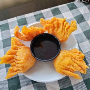 Entradas - Wanton Frito