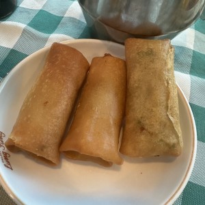 Dim Sum - Rollitos