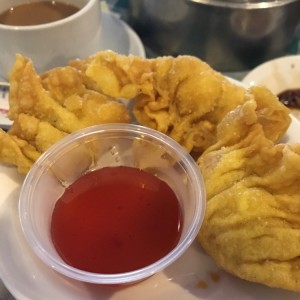 wanton de camaron