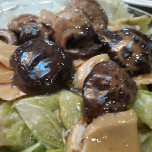 lechuga cinhongos