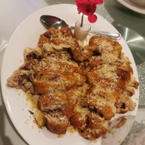 Gallina chachicai