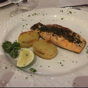 Salmon