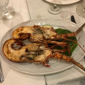 centollo