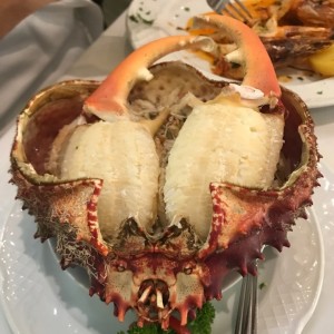 centollo