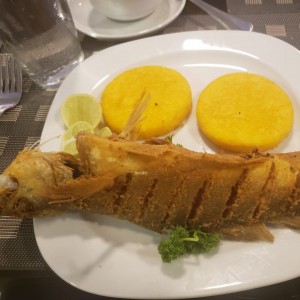 Corvina entera con tortillas