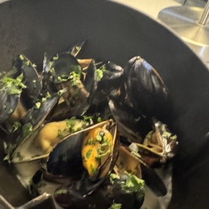 Mussels 