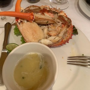 Centollo 