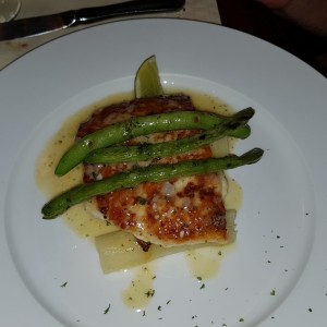 corvina
