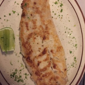Corvina a la plancha