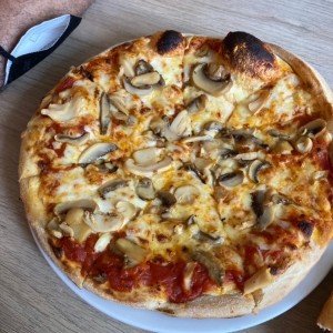 Hongos