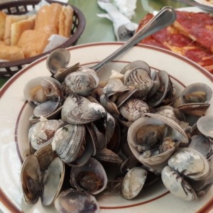 Almejas al ajillo