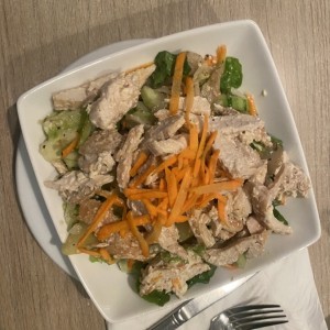 Entradas - Ensalada de Pollo