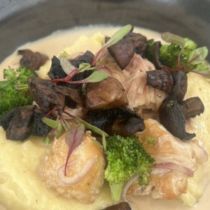 Pollo