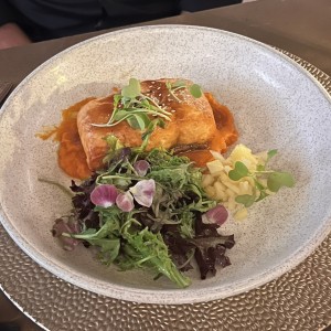 Salmon 