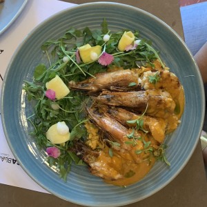 Del Mar - Langostinos con Guacho