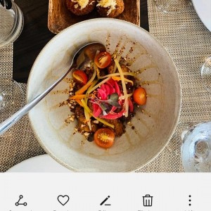 Cocodrilo