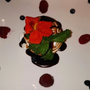 Baked Alaska