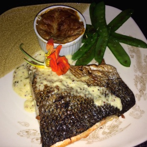 Salmon