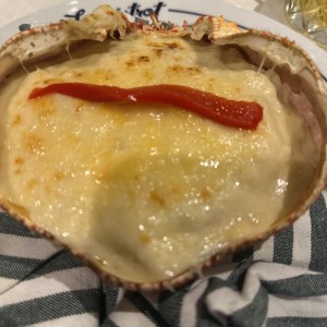 Centollo Gratinado