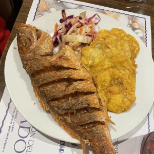 Pargo rojo ?