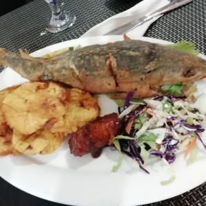 Corvina
